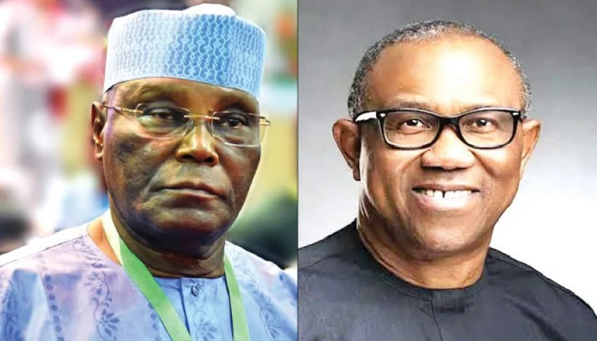 Obi not negotiating for Atiku’s running mate slot — Obidient coordinator