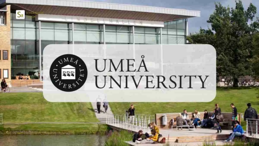 2026 Umea University Scholarship in Sweden | Step-by-Step Process
