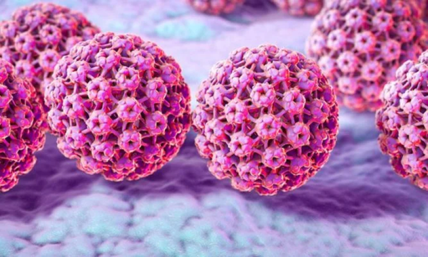 Marital status not linked to HPV, cervical dysplasia risk — Expert