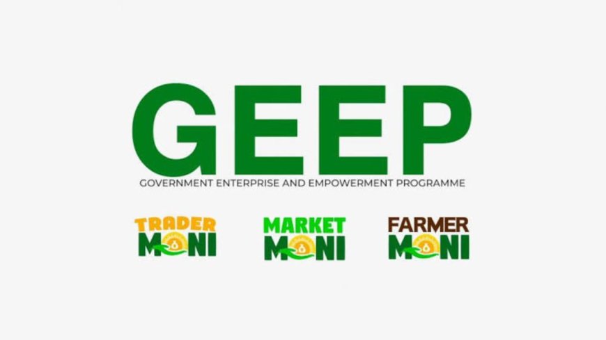 Federal Government Enterprise and Empowerment Program (GEEP) 2026 | How To Apply