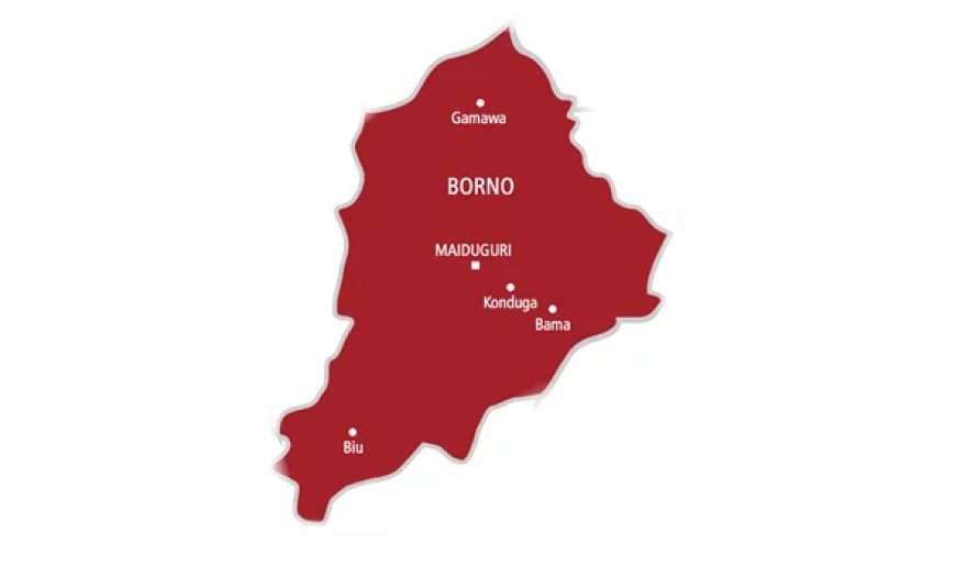 NAF bombs terrorists’ camp in Borno