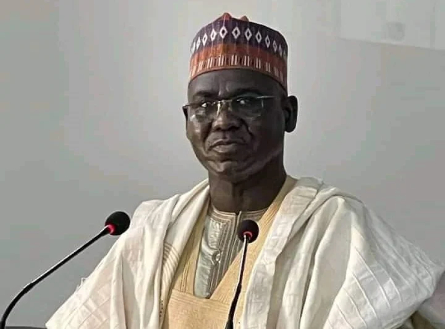 Military’s internal security role weakening police, says Buratai