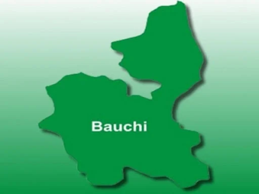 Bauchi LG screens 3,000 job applicants