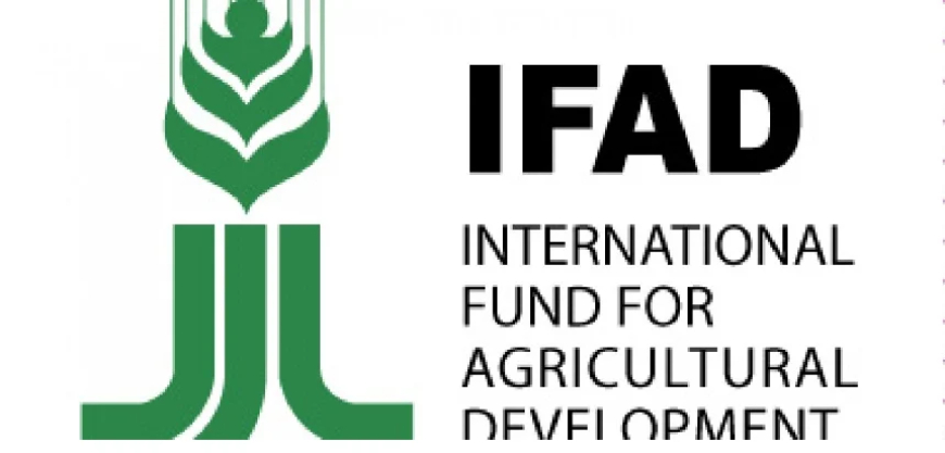 FG, IFAD push to end malnutrition in Nasarawa
