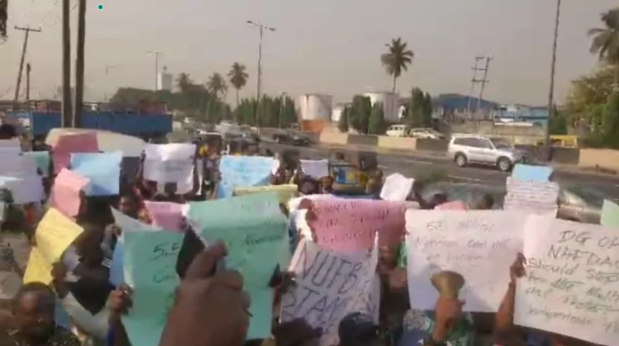 Sachet alcohol ban threatens five million jobs, distillers warn NAFDAC