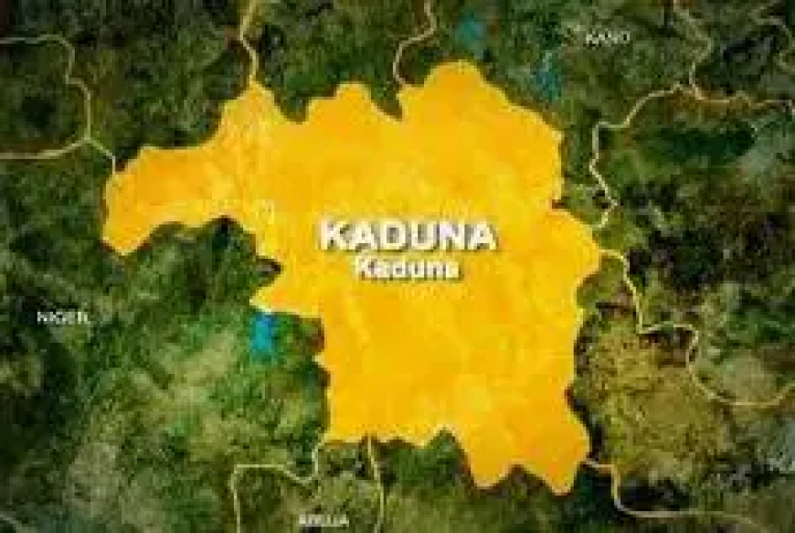 Kaduna police nab 7 suspected bandits, recover firearms