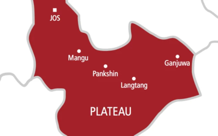 Plateau LG chair suspends mining, imposes curfew over renewed attacks