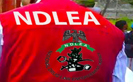 NDLEA intercepts Brazil returnee with cocaine hidden in private part, footwear