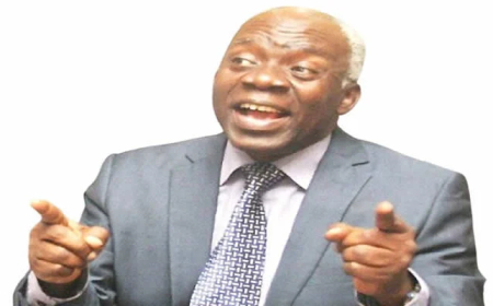 2027: Falana slams senate’s delays on electoral act