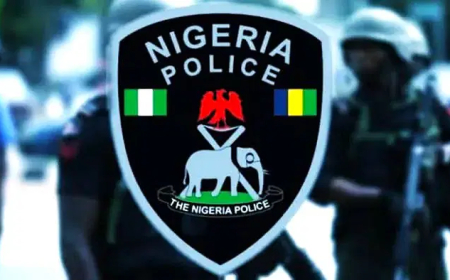 Police arrest 2 suspected robbers, recover firearms in Lagos