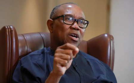 Assault on Nigeria’s democracy’: Peter Obi slams Senate over rejection of e-transmission of results