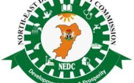 NEDC commiserates with NUJ over Bauchi auto-crash