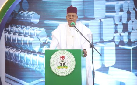 Shettima to chair NEC conference on economic growth