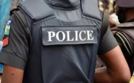 Police arrest 23, recover drugs in A’Ibom criminal hideout raid