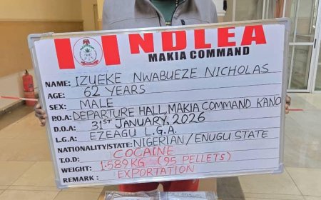 NDLEA arrests businessman with 95 cocaine pellets at Kano airport