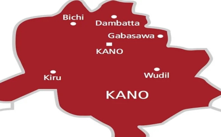 FRSC confirms seven dead, 70 injured in Kano lone accident