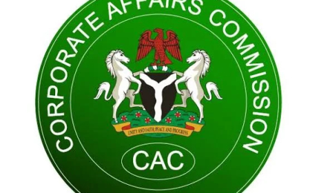 CAC processes 10,000 daily registrations after AI rollout