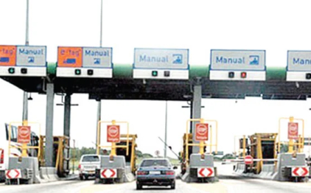 NIS arrests female trafficker, rescues six women at Seme border