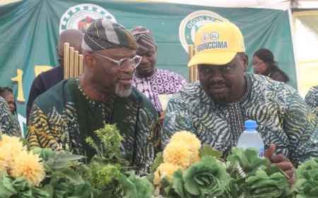 OGUNCCIMA THUMBS UP GOV. ABIODUN'S DEVELOPMENTAL DRIVES