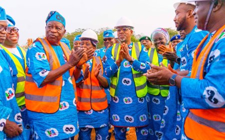 Mega Dairy, Cattle Ranches Head to Ogun as Tinubu Backs Abiodun’s Agricultural Drive