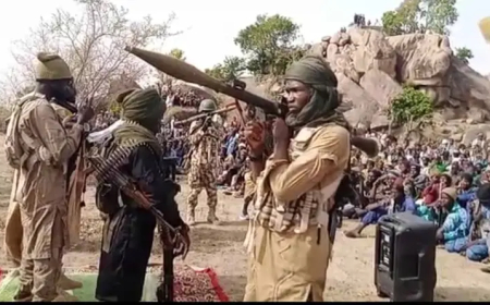 Army varsity professor dies in Boko Haram captivity