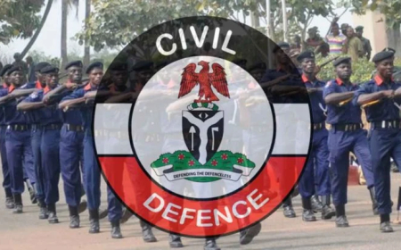 NSCDC deploys 4,000 personnel for FCT area council poll