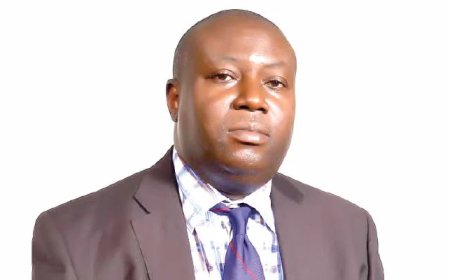 Nigeria struggles with 2,200 gynaecologists for seven million births annually