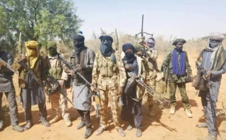 Niger bandits kill scores, burn houses