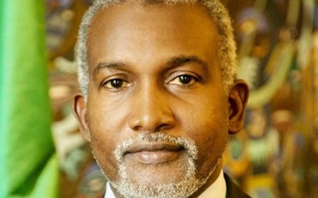 Nigeria, Angola sign visa exemption for diplomatic passport holders