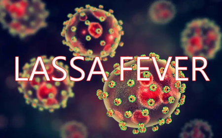 Lassa fever cases jump 57% in one week as 31 Nigerians die
