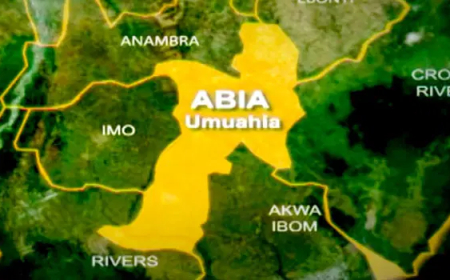 14 wedding guests die in auto crash