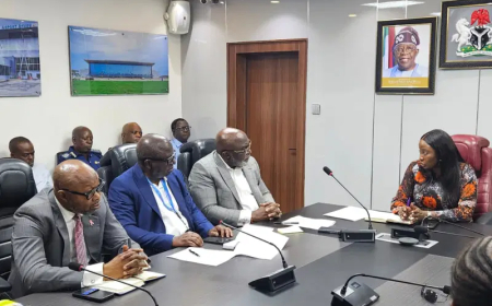 United Nigeria presses FAAN on rising bird strikes