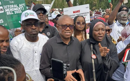 Electoral Act amendment: Obi joins protesting youths at National Assembly