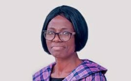 Nigerian hospitals need trained biomedical engineers — Oyo health commissioner