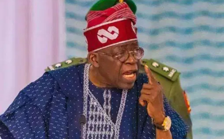 Tinubu calls for orderliness in FCT, Kano, Rivers polls
