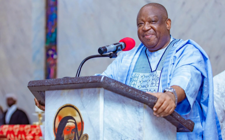 Plateau sets up panel to probe VIO misconduct