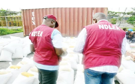 Suspended Amotekun operative arrested over illicit drugs