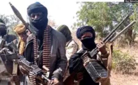 One dies, 25 terrorists killed, several others wounded in Borno clashes