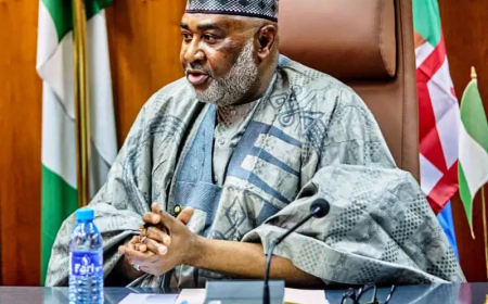 FG committed to Northeast development -Minister