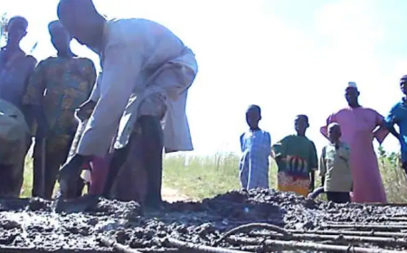 SOKOTO: After 50 years, Gudurega community builds secondary school for girls