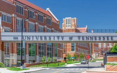 University of Tennessee Scholarships in USA 2026 | Fully Funded