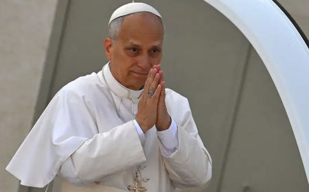 Pope Leo to visit four African countries