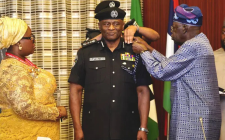 Tinubu decorates Disu as acting IGP