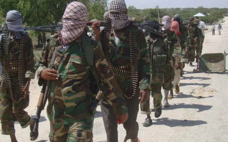 Jihadist attacks Adamawa, leave 25 dead