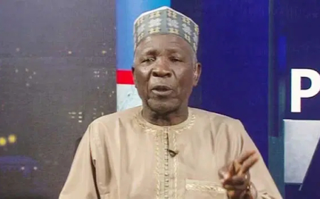 2027: ‘If Jonathan’s govt can be removed, APC can be cut into piece’  —  Galadima