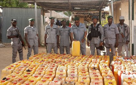 Customs Zone D seizes smuggled 15,300 litres of petrol, car, pangolins