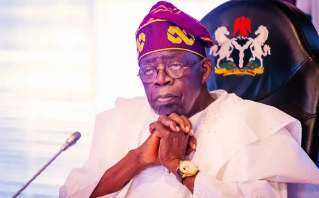 Tinubu to Reps: Amend Constitution for state police, guard against abuse