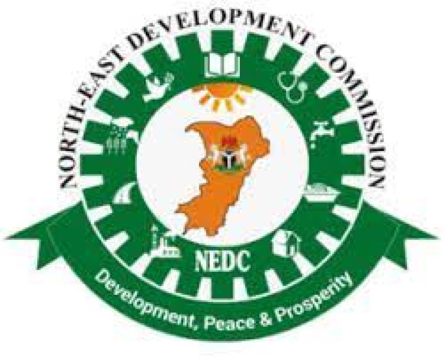 NEDC commiserates with NUJ over Bauchi auto-crash