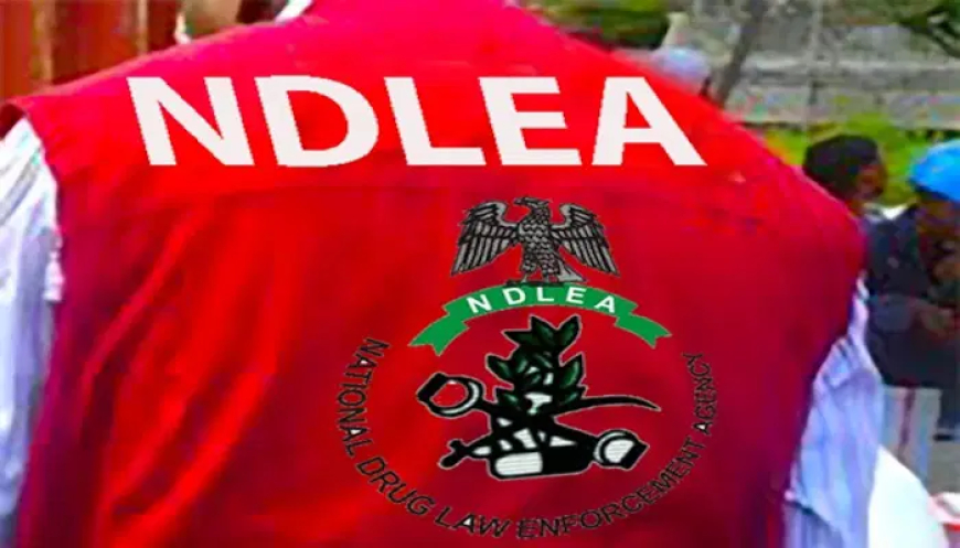 China-bound auto parts dealer excretes 95 wraps of cocaine — NDLEA
