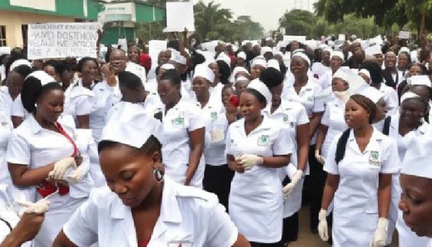 Nurses’ strike paralyses activities at Kaduna hospital